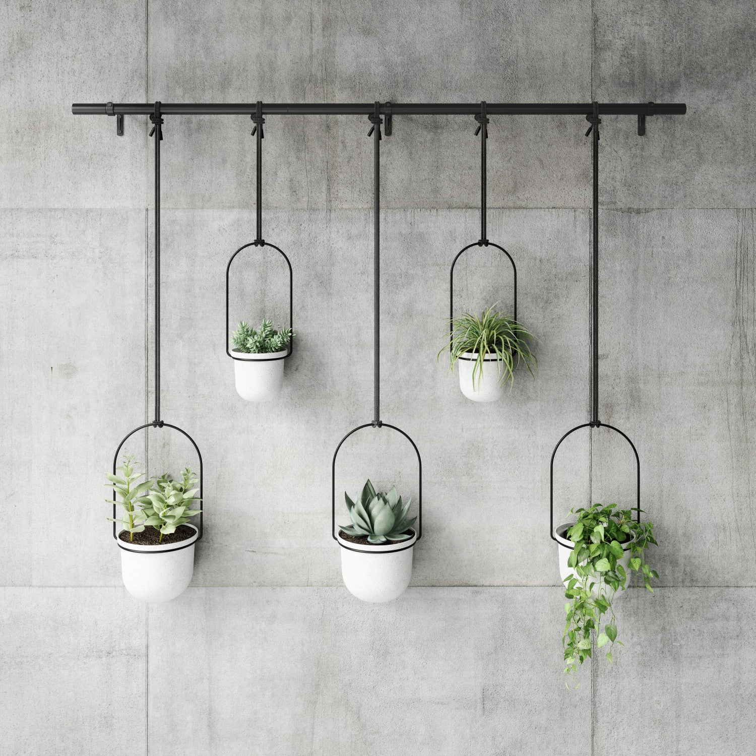 umbra hanging planter white Umbra White Triflora Hanging Planter - Set of 6