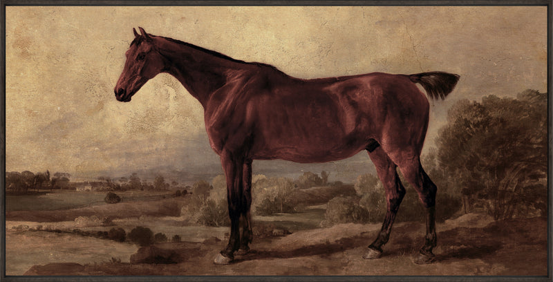 Horse Framed Acrylic Touch Art - 25\" x 49\"