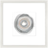 Sea Shell II Framed Artwork Raised Under Glass with Mat - 24\" x 24\"