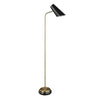 Black Gold Floor Task Lamp