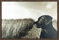 Farm Dog Framed Laminate Finish - 25.5