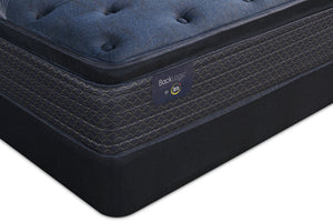 Serta Back Logic 3.0 Eurotop Plush Queen Mattress Set