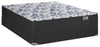 Springwall Barcelona Tight Top Medium Queen Mattress Set