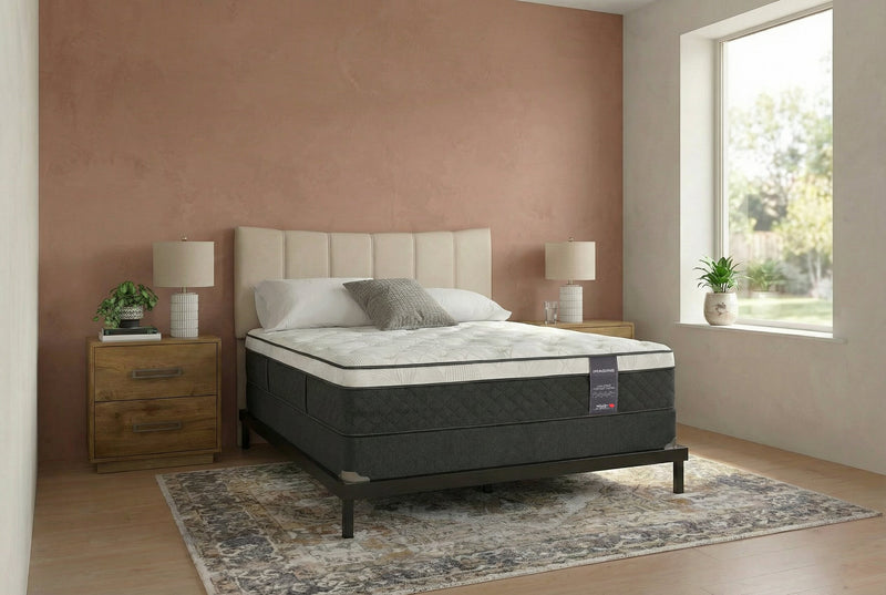 Springwall Encore Imagine Eurotop Plush Queen Mattress 