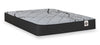 Springwall Red Cedar Tight Top Luxury Firm Twin XL Mattress-in-a-Box