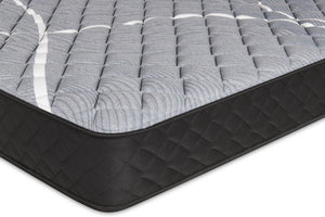 Springwall White Birch Tight Top Firm Twin Mattress-in-a-Box