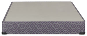 Sealy 2025 Twin Boxspring