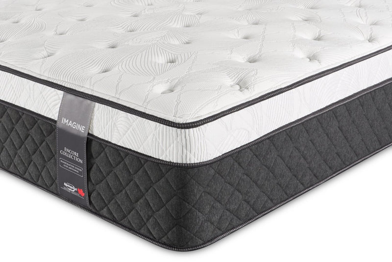 Springwall Encore Imagine Eurotop Plush Twin Mattress 