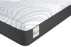 Springwall Spa 12 Plush Smooth Top Twin XL Mattress in a Box