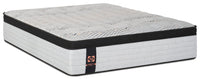 Sealy Posturepedic® Plus 1000 Series Bronson Eurotop Luxury Firm Twin Mattress 