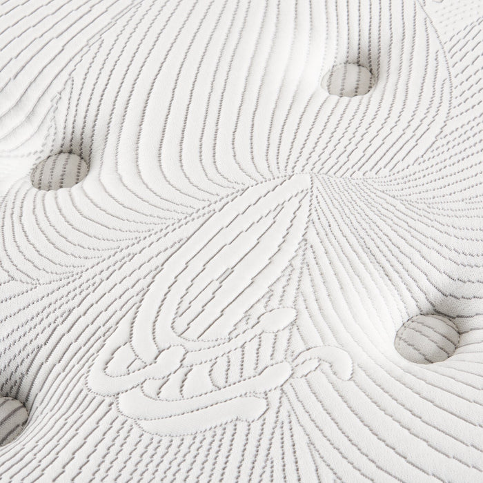 Springwall Encore Imagine Eurotop Plush Twin Mattress 