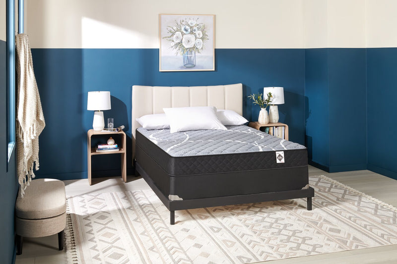Springwall White Birch Tight Top Firm Queen Mattress-in-a-Box