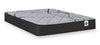 Springwall Red Cedar Tight Top Medium Queen Mattress-in-a-Box
