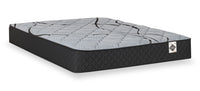 Springwall Red Cedar Tight Top Medium Queen Mattress-in-a-Box 