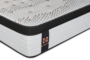 Sealy Posturepedic® Plus 1000 Series Bronson Eurotop Luxury Firm Twin Mattress