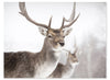 Deer Framed Artwork with Stucco Finish – 27" x 35" | Œuvre d’art encadrée « Deer » avec fini stuc - 27 po x 35 po