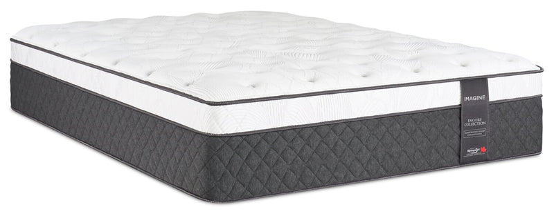 Springwall Encore Imagine Eurotop Plush Twin Mattress 