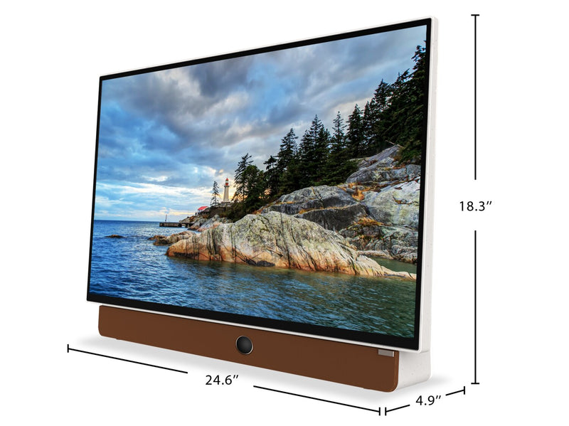 Skyworth Companion Portable™ 1080p FHD LED Display w/ Google TV (2 ...