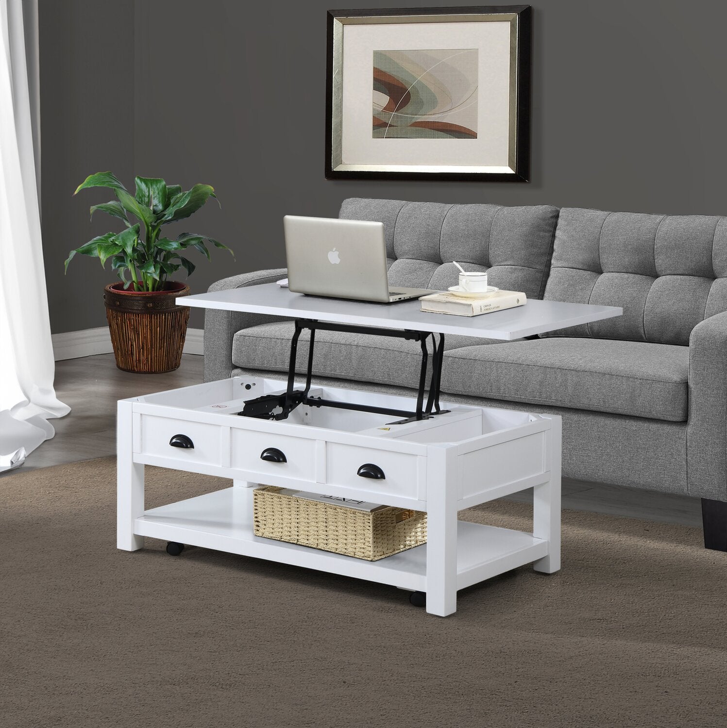 Centennial 48" Modern Lift Top Coffee Table with Storage, Shelf & C ...