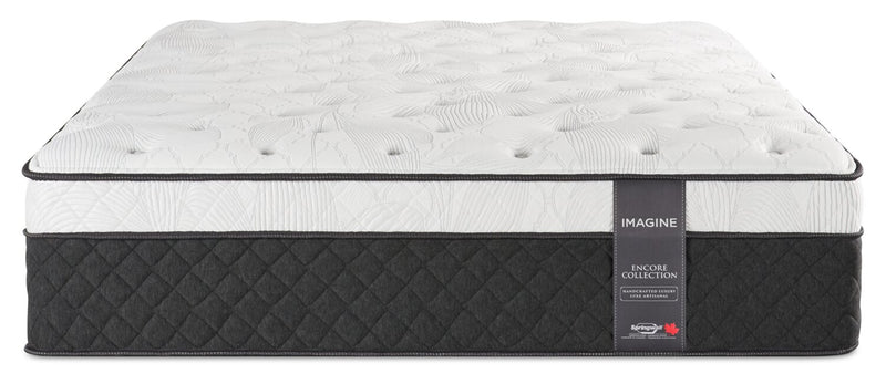 Springwall Encore Imagine Eurotop Plush Twin Mattress 