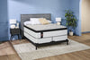 Sealy Copper Collection Low-Profile Queen Boxspring Set | Sommier Collection Cuivre à profil bas de Sealy pour grand lit | C25LQPKG