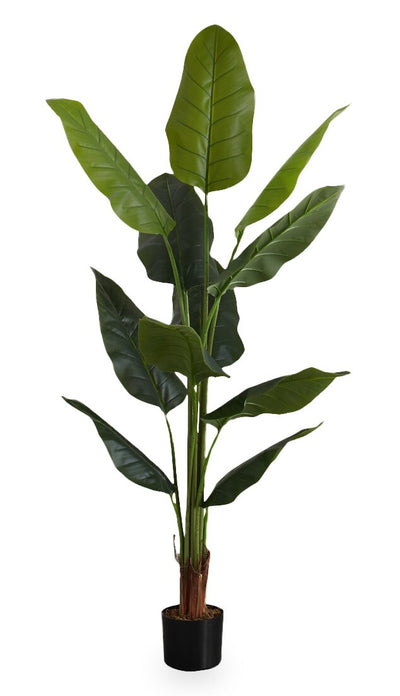 59" Artificial Strelitzia Tree in 5" Pot | Strelitzia artificielle de 59 po en pot de 5 po