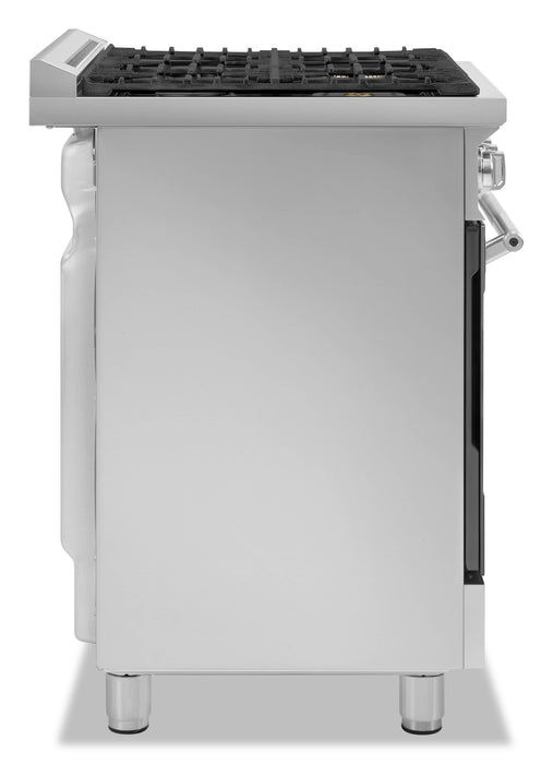 Smeg 4.6 Cu. Ft. Professional Gas Range - SPR36UGMX