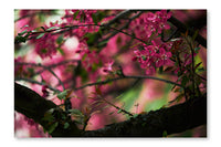 Close-up Shot of Beautiful Pink Cherry Blossom 2 24x36 Wall Art Fabric Panel Without Frame