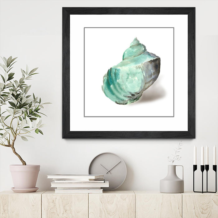 \"Shell In Mint\" Matted and Framed Black 36x36 Wall Art