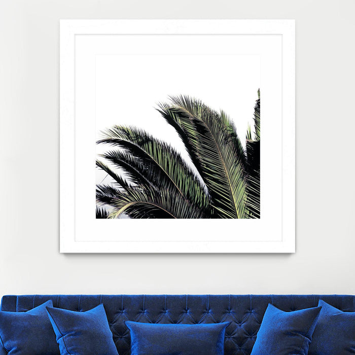 \"Cape Storm\" Matted and Framed White 36x36 Wall Art