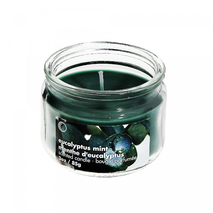 3 Oz Scented Glass Jar with Lid Eucalyptus Mint - Set of 4 Candle