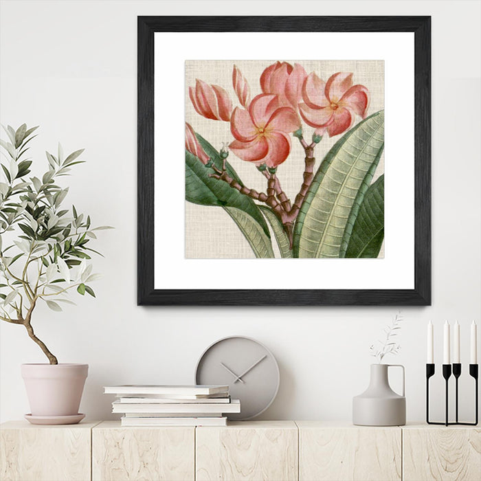 \"Cropped Turpin Tropicals Vii\" Matted and Framed Black 36x36 Wall Art
