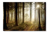 Forest Path At Sunset 28x42 Wall Art Fabric Panel Without Frame