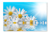 Spring Flowers Background 16x24 Wall Art Frame And Fabric Panel