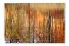 Autumn Forest Reflection 28x42 Wall Art Fabric Panel Without Frame