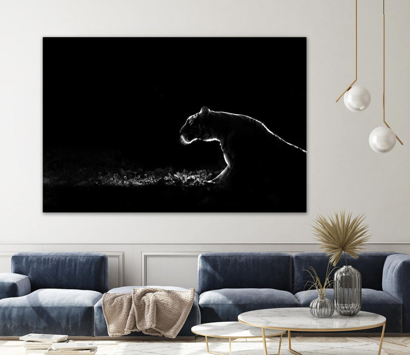 \"Amot - Untitled\" Giant Art 72x48 Wall Art