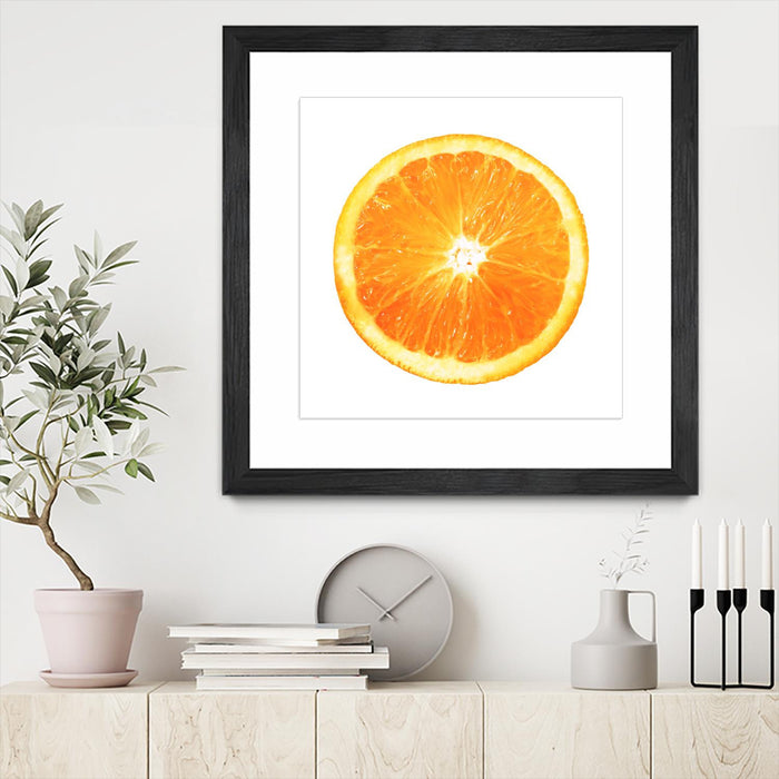 \"Citrus Cultivar\" Matted and Framed Black 36x36 Wall Art