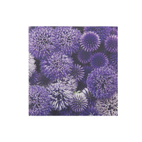20 Pack Luncheon 3 Ply Napkin Global Thistle - Set of 6