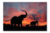 Elephants Enjoy A Spectacular Sunset On The Serengeti 16x24 Wall Art Frame And Fabric Panel