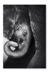 Baby Elephant Seeking Comfort 24x36 Wall Art Fabric Panel Without Frame