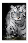Black  White Tiger 24x36 Wall Art Fabric Panel Without Frame
