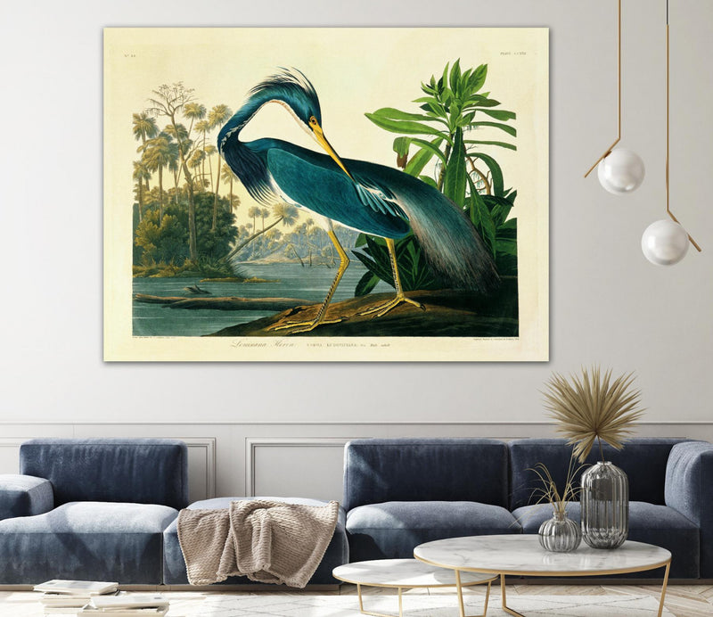 \"Louisiana Heron Plate 217\" Giant Art 72x54 Wall Art