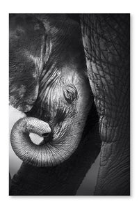Baby Elephant Seeking Comfort 28x42 Wall Art Fabric Panel Without Frame