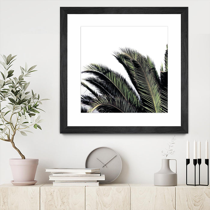 \"Cape Storm\" Matted and Framed Black 30x30 Wall Art