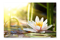 Water Lily 2 24x36 Wall Art Frame And Fabric Panel
