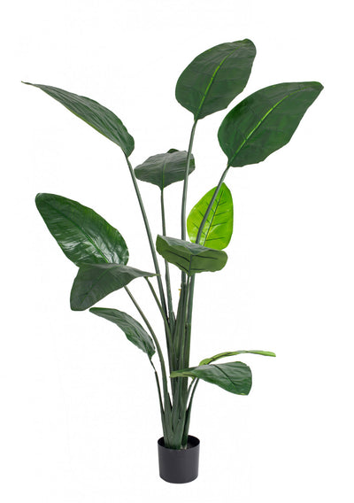 Artificial 70" Bird Of Paradise Indoor & Outdoor In Black Pot 