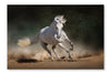 Horse Run 28x42 Wall Art Frame And Fabric Panel