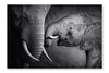 Elephant Affection 16x24 Wall Art Frame And Fabric Panel