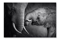 Elephant Affection 16x24 Wall Art Frame And Fabric Panel