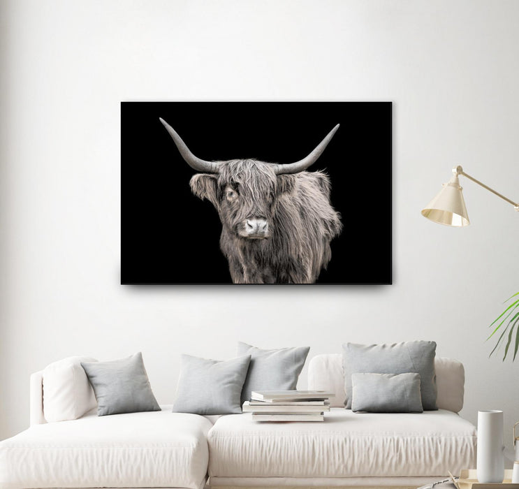 \"A New Kid In Town\" Canvas Framed Black 36x24 Wall Art